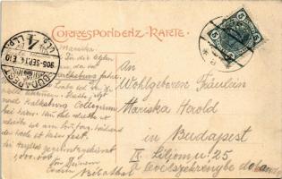 1905 Odry, Odrau; Schloss, Stadtplatz, Hanns Ulrich's I. Felsenkeller (Ulrichsbräu), vom Pohors...
