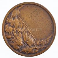 ~1930. "Újpesti Torna Egyesület 1885" kétoldalas Br sport emlékérem "Ludvig / Ludvig ...