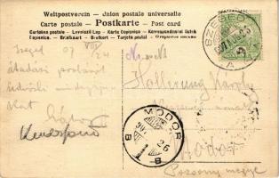 1907 Szeged, Kenderfonó gyár belső, átadási próba ünnepsége. photo