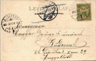 1902 Zimony, Semlin, Zemun; Visa djevojacka skola / leány iskola / girl school (EK)