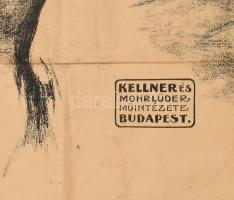 cca 1919-1920 Manno Miltiades (1879-1935): "Segítsetek! Adjatok!". Irredenta plakát. Litog...