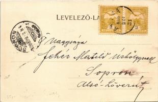 1900 Anina, Stájerlakanina, Stájerlak, Steierdorf; vasgyár / iron works, factory