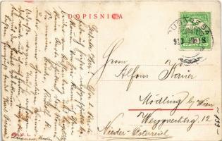 1913 Duga Resa, Dugaresa, Dugerese; Pamut fonoda és szövőgyár. W. L. 938. / cotton spinning and weav...