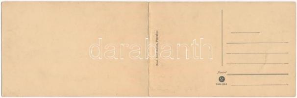 Pardubice, Pardubitz; Z. Hostovsky, Panorama. 2-tiled folding panoramacard
