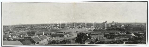 cca 1900 Székesfehérvár látóképe, nyomat kartonra kasírozva, 16x55 cm