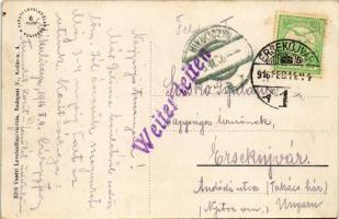 1916 Nagykároly, Carei; Gróf Károlyi kastély. Vasúti Levelezőlapárusítás 8219. / castle