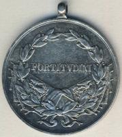 1916. "Fortitudini" Ag katonai érdemérem T:2/3