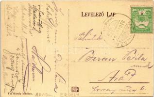 1910 Menyháza, Monyásza, Moneasa; Vasolvasztó telep. Fái Károly kiadása / colony of the iron works