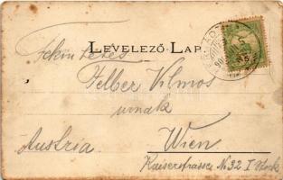 1906 Eperjes, Presov; Fő utca. Divald / main street (fa)