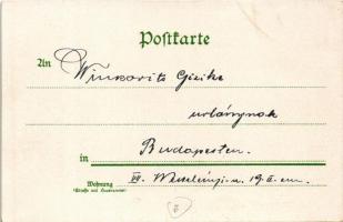 Der Mann mit dem harten Schädel. Die Japanerin ohne Arme. Die bärtige Dame. Der Rechenkünstler. Miss...