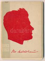 1893-1963 Vlagyimir Vlagyimirovics Majakovszkij - 16 db modern szovjet képeslap érdekes fotókkal tok...