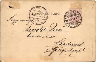 1898 (Vorläufer) Erzsébet királynő (Sissi) gyászlapja. Meghalt 1898 Szeptember 10-én / Obituary post...