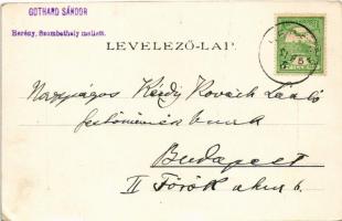 1910 Herény (Szombathely), Gothard kastély (EK)