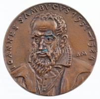Borsos Miklós (1906-1990) DN "IOANNES SAMBVCVS 1531-1584 / SOCIETAS - HVNGARICA - HISTORIAE - ARTIS - MEDICINAE (Zsámboki János / Magyar Orvostörténelmi Társaság)" kétoldalas, öntött bronz emlékérem (73mm) T:1- kis patina / Hungary ND "János Zsámboki / Hungarian Medical History Society" double-sided, cast bronze commemorative medallion. Sign.: Miklós Borsos (73mm) C:AU small patina CS 513.