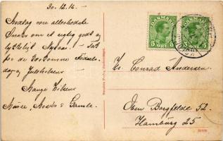 1917 Glaedeligt Nytaar / New Year greeting art postcard with Danish banknote (ragasztónyom / glue ma...