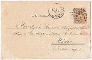 1899 (Vorläufer) Budapest VIII. Schuster Hugó Medicus kávéháza, belső biliárdasztalokkal. Üllői út 3...