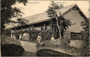 1912 Feredőgyógy, Fürdőgyógy, Algyógyfürdő, Geoagiu-Bai, Feredeu; Rákoczi sor / villa