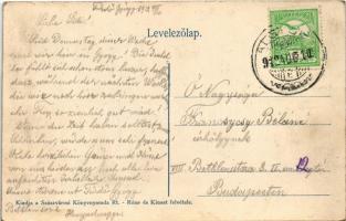 1912 Feredőgyógy, Fürdőgyógy, Algyógyfürdő, Geoagiu-Bai, Feredeu; Rákoczi sor / villa