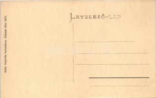 Vajdahunyad, Hunedoara; Várudvar. Adler fényirda 1910. / castle courtyard