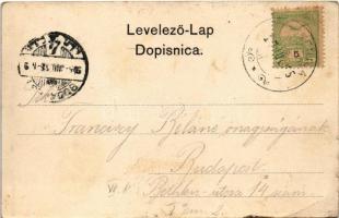1905 Crikvenica, Cirkvenica; Vijnicki dom, Curhaus pour les officiers / Villa Mira, K.u.k. Militär C...