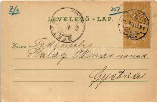 1901 Zólyom, Zvolen; vár. Özv. Löwy Samuné kiadása / hrad / castle. Art Nouveau