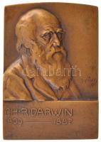 Sződy Szilárd (1878-1939) 1910. Charles Darwin 1809-1882 egyoldalas Br plakett, hátoldalán B.S.W. (Bruder Schneider Wien) gyártói jelzéssel (60x43mm) T:1- kis ph / Hungary 1910. Charles Darwin 1809-1882 one-sided Br plaque with B.S.W. (Bruder Schneider Wien) makers mark on reverse. Sign.:Sződy Szilárd (1878-1939) (60x43mm) C:AU small edge error