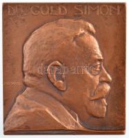 Murányi Gyula (1881-1920) ~1908. "Dr. Gold Simon" egyoldalas bronz emlékplakett (55x51mm) T:1- patina, ph / Hungary ~1908. "Dr. Simon Gold" one-sided bronze commemorative medallion. Sign.:Gyula Murányi (1881-1920) (55x51mm) C:AU patina, edge error HP.: 3688.