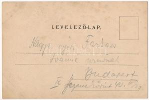 1901 Budapest III. Rómaifürdő, Római fürdő; Berczik István min. számtanácsos nyaralója, villa (EB)