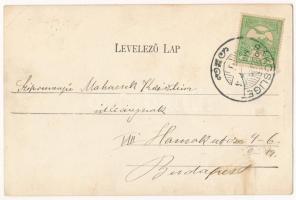 Budapest XVII. Rákosliget, Gépház. Wollner Alajos kiadása (EB)