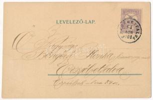 1900 Budapest XX. Pestszenterzsébet, Pesterzsébet, Erzsébetfalva; M. kir. állami népiskola. Lovrich ...