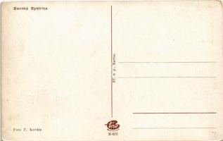 Besztercebánya, Banská Bystrica; látkép. Foto P. Kováts / general view (EK)