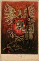 Na strazy! Drukarnia i litografia Polonia, Kraków. Wydala: Wisla 1008. / Lengyel hazafias propaganda címerrel / Polish military patriotic propaganda with coat of arms. litho (EK)