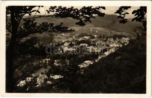 1950 Trencsénteplic, Trencianske Teplice; látkép / general view (EK)