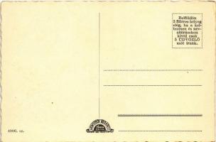 Komárom, Komárno; látkép, vasútállomás, Duna részlet, gőzhajó, Városháza / general view, railway sta...