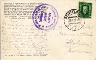 1929 Dobsina, Dobschau; Dobsinai jégbarlang, belső, Oszlopterem. Fejér Endre kiadása / Eishöhle Dobs...