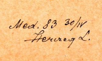 cca 1890 Nagyküküllői Székely Vasút, Héjjasfalva-Székelyudvarhely vasútvonal, Székelyudvarhely mozdo...