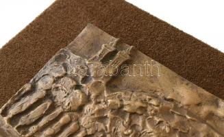 Szöllőssy Enikő (1939-): Balaton Tihanynál hullámlovasokkal. Bronz relief, fa hordozón, jelzés nélkü...