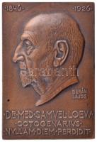 Berán Lajos (1882-1943) 1926. Dr. Lőw Sámuel belgyógyász 80. születésnapjára egyoldalas bronz emlékplakett (100x67mm) T:1- patina / Hungary 1926. For the 80th birthday of Dr. Samwell Loew one-sided bronze commemorative plaque. Sign.:Lajos Berán (1882-1943) (100x67mm) C:AU patina HP.: 1293.
