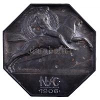 ~1920. NSC (Nemzeti Sport Club) 1906 nagyméretű Fe plakett, hátlapra forrasztott akasztóval, nyolcszögletű lovassport plakett. Szign.: Göröntsér Greff Lajos (1888-1976) (217x217mm) T:1- kis rozsdafoltok / Hungary ~1920. NSC (Nemzeti Sport Club) 1906 large-size Fe plaque, with hanger on reverse, octagonal-shaped horse sports plaque. Sign.: Lajos Göröntsér Greff (1888-1976) (217x217mm) C:AU small rust spots
