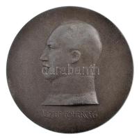 Osztrák-Magyar Monarchia ~1918. József főherceg / Kárpátok, Doberdo Zn emlékérem (59,5mm) T:2 / Austro-Hungarian Monarchy ~1918. Archduke Joseph / Carpathians, Doberdo Zn commemorative medallion (59,5mm) C:XF,VF