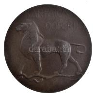 Osztrák-Magyar Monarchia ~1918. "József főherceg / Kárpátok, Doberdo" Zn emlékérem (59,5mm...