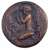 Madarassy Walter (1909-1994) 1980. "Dr. Szabó Miklós 1980" kétoldalas Br emlékérem (~83mm)...