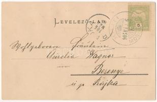 1905 Dunakiliti, Kiliti (Moson); Pálfy gróf kastély, templom, Fő tér, üzlet. Gelberg's Ansichts...