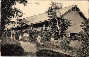 1916 Feredőgyógy, Fürdőgyógy, Algyógyfürdő, Geoagiu-Bai, Feredeu; Rákóczi sor / villa (EB)