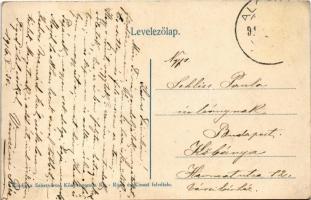 1916 Feredőgyógy, Fürdőgyógy, Algyógyfürdő, Geoagiu-Bai, Feredeu; Rákóczi sor / villa (EB)