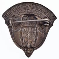 Csehország / történelmi tartomány ~1900. "Általános Néptanító Egyesület Karlsbad" fém Schl...