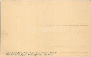 Tátra, Magas-Tátra, Vysoké Tatry; Strbské pleso / Csorba-tó, villamos. Földes Samu kiadása 204. sz. ...