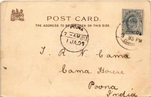 1907 "Violet" The Revised Language of Flowers. Raphael Tuck & Sons "Humorous"...