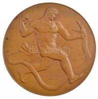 Reményi József (1887-1977) 1921. "Dr. Rothman Ármin - Egy M.(magán) tanárnak nagyrabecsülésünk ...