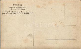 Pozsony, Pressburg, Bratislava; Légi felvétel 7000 m magasságból (Dr. Schlein Bécs), hőlégballon. E ...